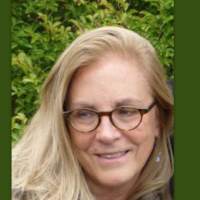 Pamela Lippe